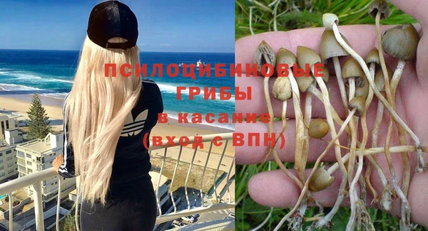 экстази Арсеньев