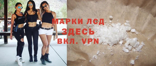 стафф Аркадак